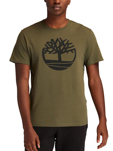 TIMBERLAND KBEC RIVER T-shirt à manches courtes feuille de vigne - T-shirt