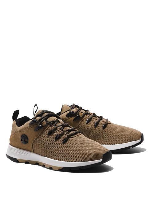 TIMBERLAND SPRINT TREKKER Low Knit Baskets chêne pétrifié - Chaussures Homme