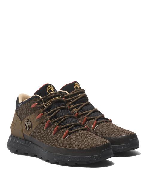 TIMBERLAND SPRINT TREKKER Baskets milolive - Chaussures Homme