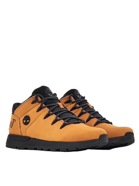 TIMBERLAND SPRINT TREKKER  Baskets en cuir blé - Chaussures Homme