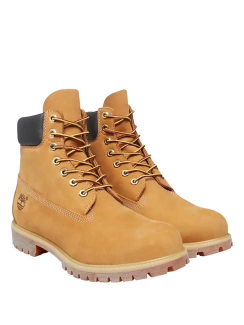 TIMBERLAND 6 INCH  Bottines en cuir jaune - Chaussures Femme