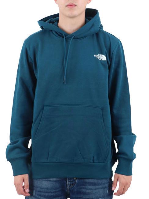 THE NORTH FACE SIMPLE DOME Sweatshirt à capuche essence de minuit - Pulls molletonnés